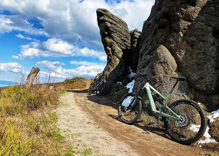 Ogrod * שצ'צ'ירק