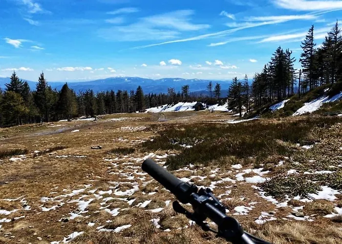 Ogrod * שצ'צ'ירק